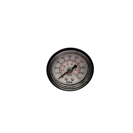 CH 20 100 00 (PANEL MOUNT GAUGE)