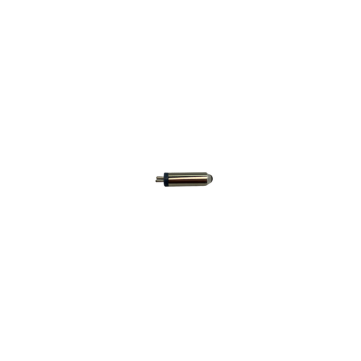 CH16 062 00 (NSK FO BULB)