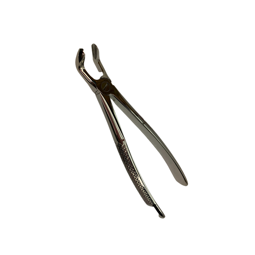 NOV 1920 (FORCEP 79)